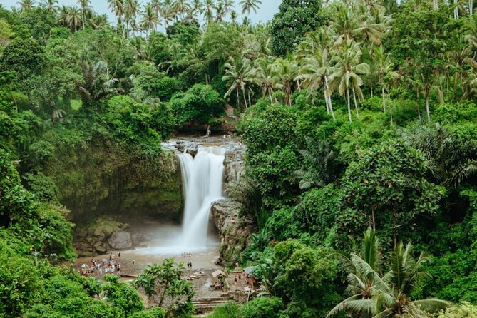 Private Ubud Day Tour Waterfalls Sacred Monkeys and Rice Fields - Meeting macaques in the Sacred Monkey Forest