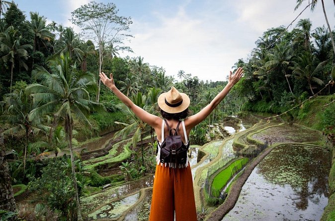 Private Ubud Day Tour Waterfalls Sacred Monkeys and Rice Fields - Tegalalang Rice Terrace views
