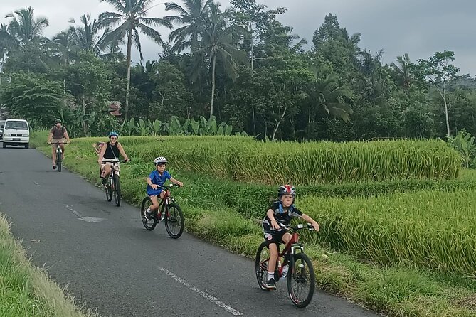 Private Ubud Downhill Cycling with Volcano, Rice Paddies & Meal - Balinese lunch back in Ubud
