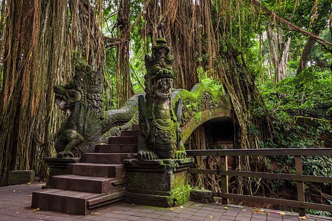 Private Ubud Tour: Monkey Forest, Waterfall & Rice Terrace - What the private guide adds