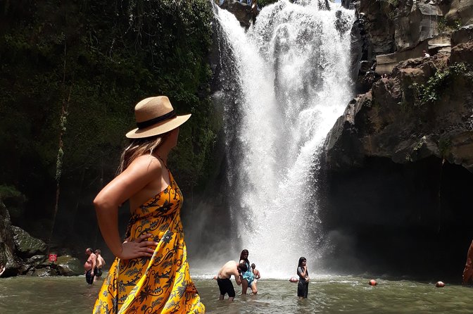 Private Ubud Tour Package - Ubud Traditional Art Market