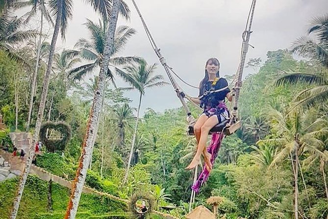 Private Ubud Tour with Hidden Waterfalls - Tohpati and the first look at Balinese craft