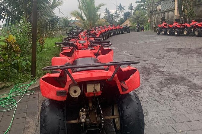 Quadbike Adventure with Tunnel and Waterfall Tour in Bali - Guide support and group size