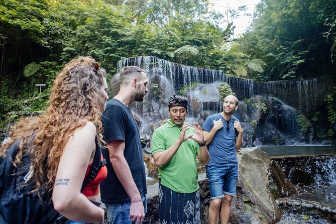Quick Access: The Bali Instagram Small Group Tour - Tegalalang Rice Terraces and the route problem