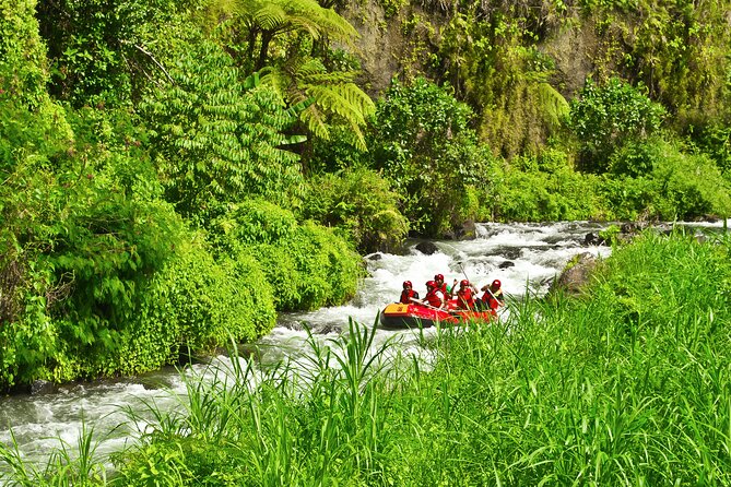 Rafting Adventure 18 km and Balinese Village Life Tour with Lunch - Lunch at Kadek’s family home