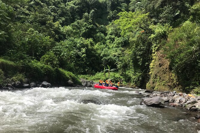 Rafting Adventure 18 km and Balinese Village Life Tour with Lunch - Is $73.02 per person good value?