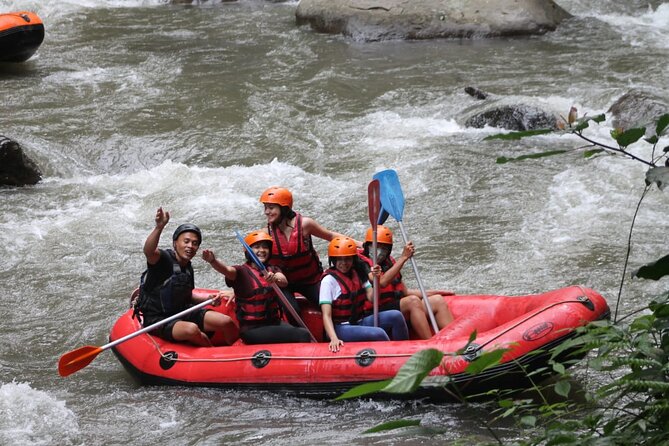 Rafting Swing Monkey Forest And Waterfall Tour All Inclusive - Payung Rafting and the Ayung River