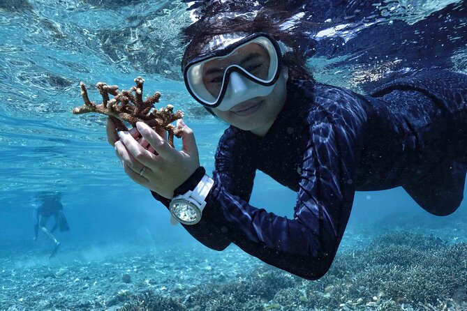 Reef Rehabilitation Course and Snorkeling - Three snorkeling sessions with a purpose