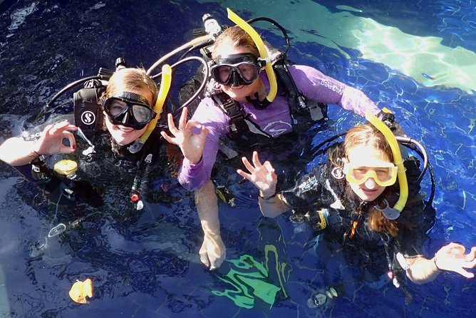 Sanur Open Water Course learn diving in 3 Days - Get certified & Dive everywhere - Day One: Pool Training in Sanur