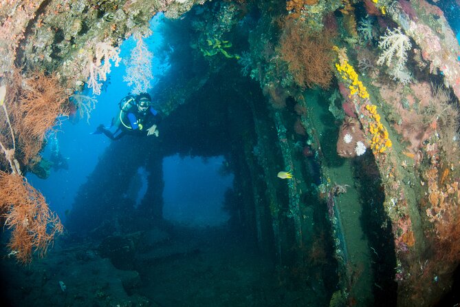 Sanur Open Water Course learn diving in 3 Days - Get certified & Dive everywhere - The Pace, Physical Demands, and Practical Limits