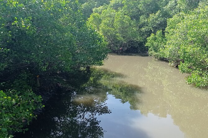 Sanur Village E-bike Tour: Family-Friendly Adventure - Meeting Bali’s turtle conservation work