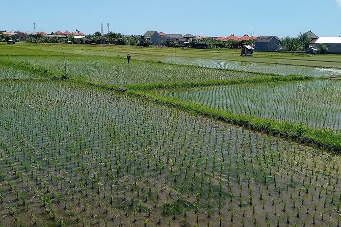 Sanur Village E-bike Tour: Family-Friendly Adventure - How easy are the e-bikes?