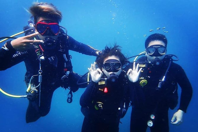 Scuba Diving in Nusa Penida - Manta Point - Is $175 good value for a Nusa Penida day?