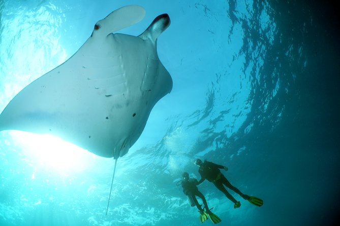 Scuba Diving Nusa Penida Manta Point 3 dives for certified divers - What the morning looks like from Kuta