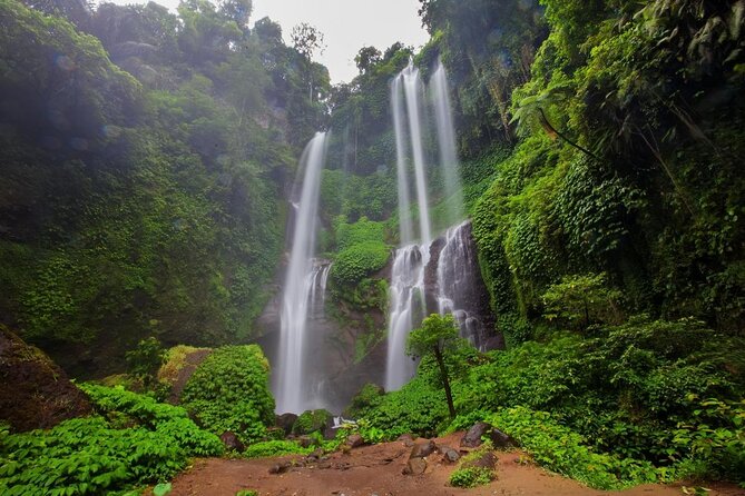 Sekumpul waterfall & aling2 waterfall with private service (including activity) - Key points at a glance