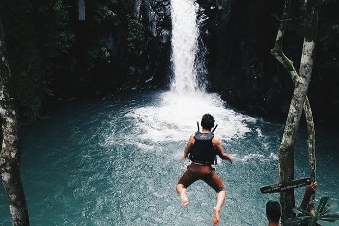 Sekumpul waterfall & aling2 waterfall with private service (including activity) - Aling-Aling: a guided day of jumps and slides