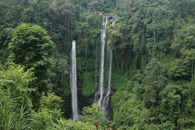 Sekumpul waterfall & aling2 waterfall with private service (including activity) - Who will enjoy this day most?