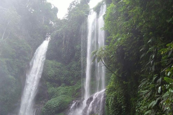 Sekumpul waterfall & aling2 waterfall with private service (including activity) - The 7:30 a.m. pickup from your Bali address