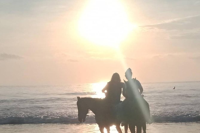 Seminyak Beach Bali Horse Riding - What Happens at Mesari Stables