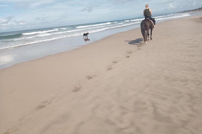 Seminyak Beach Bali Horse Riding - The One-Hour Pace and What It Includes