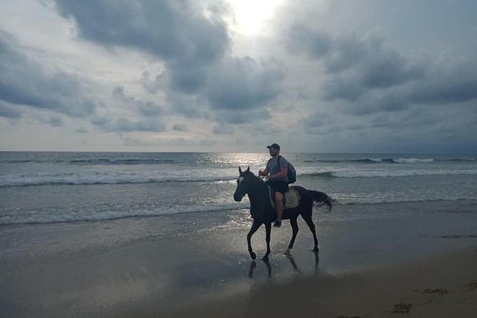 Seminyak Beach Bali Horse Riding - Who Will Enjoy This Ride Most