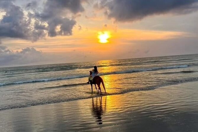 Seminyak Horse back riding In the beach - Starting at Mesari Stables on Jl. Abimanyu