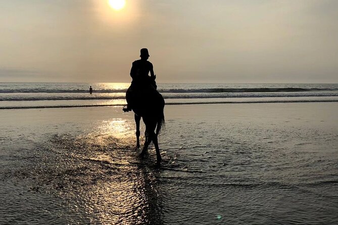 Seminyak Horse back riding In the beach - Private groups and the value of $44