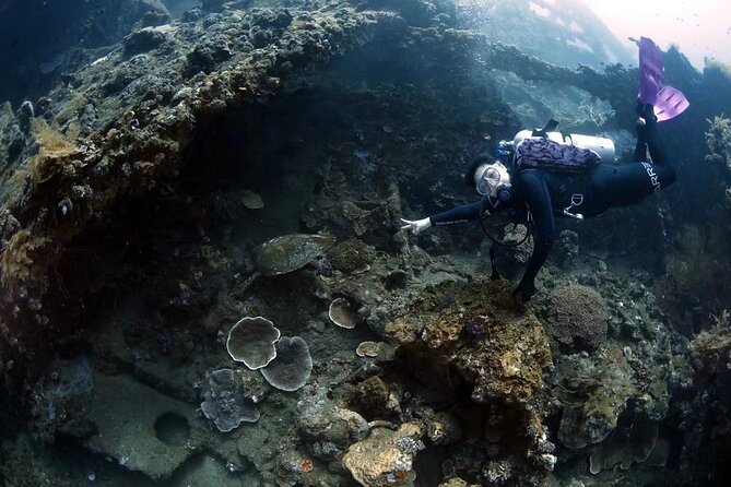 Shipwreck Diving in Tulamben - Two 45 to 60-minute sessions around the wreck