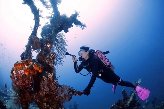 Shipwreck Diving in Tulamben - Small details that improve the day