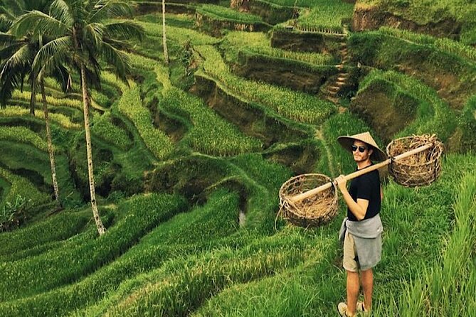 Shore Excursion Cruise Ship From Celukan Bawang Port - Why North Bali makes a good port day