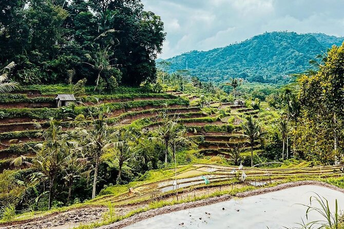 Sidemen Trekking: A Walk from a Different Perspective - Why Sidemen feels different from southern Bali