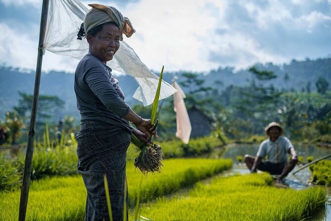 Sidemen Trekking: A Walk from a Different Perspective - Following water, fields, and village lanes
