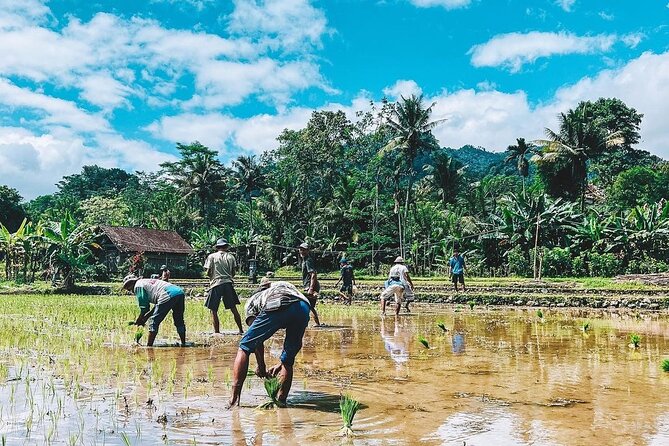 Sidemen Trekking: A Walk from a Different Perspective - The wooden bridge and the rural view