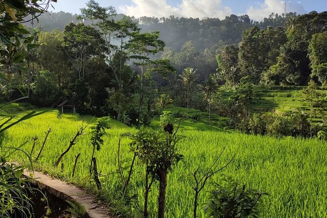 Sidemen Trekking: A Walk from a Different Perspective - Is $13.75 good value?