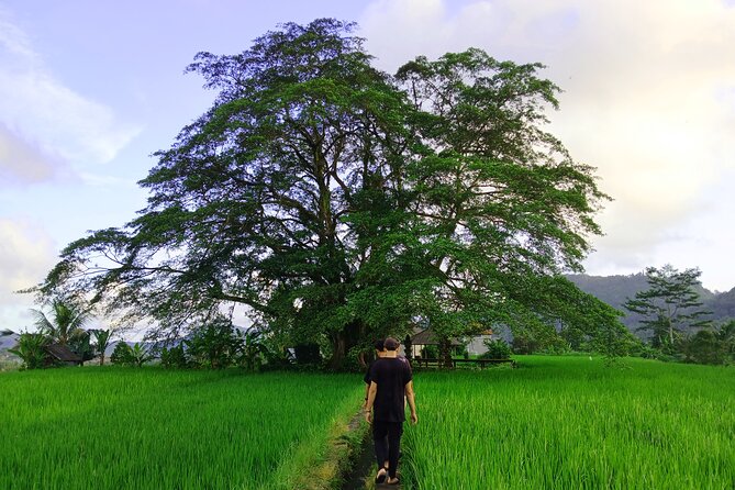 Sidemen Trekking with Cultural Encounters and Nature Views - Key points before you book