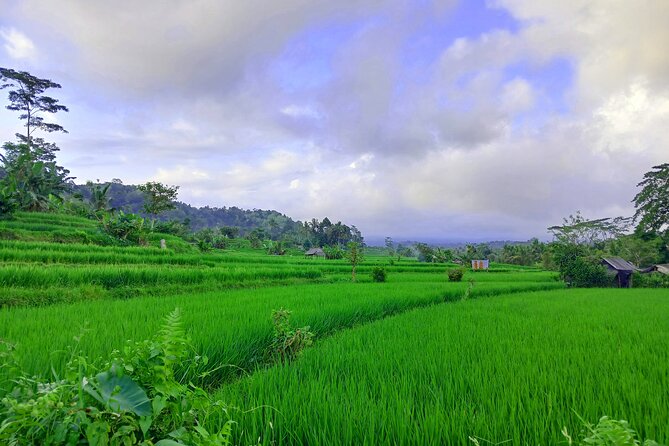 Sidemen Trekking with Cultural Encounters and Nature Views - Selisian View and Mount Agung