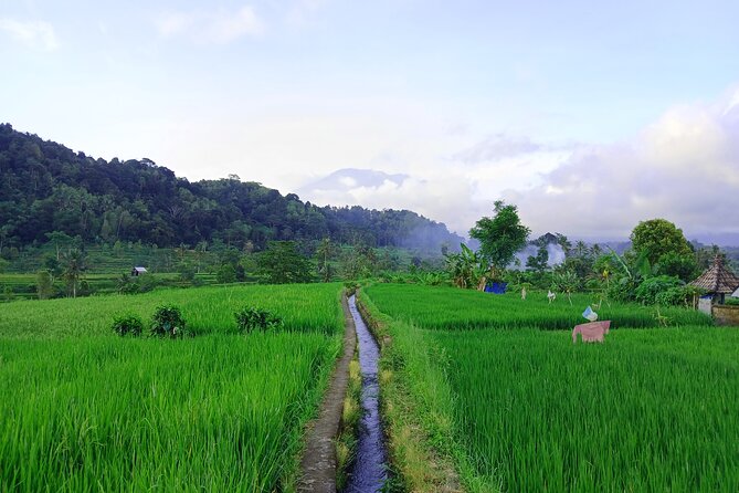Sidemen Trekking with Cultural Encounters and Nature Views - Price, private access, and what is not included
