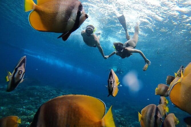 Snorkeling 3 Spots with GoPro & West Coast Tour Nusa Penida - Kelingking Beach delivers the famous cliff view