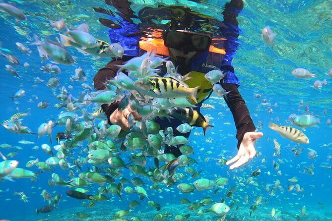 Snorkeling 3 Spots with GoPro & West Coast Tour Nusa Penida - At $18.24, the value is strong but options matter