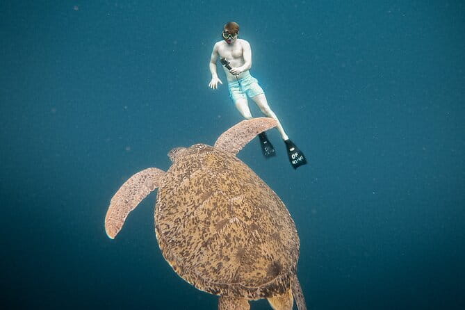 Snorkeling 3 Spots with GoPro & West Coast Tour Nusa Penida - GoPro photos add real value