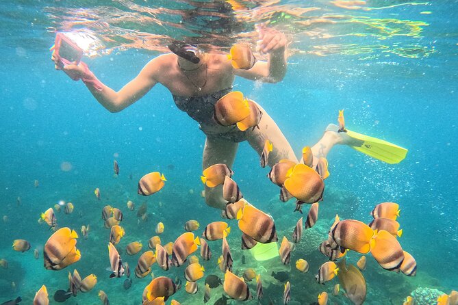 Snorkeling 4 Spot With Manta Bay Or Optional Land Trip - What the guide adds for beginners