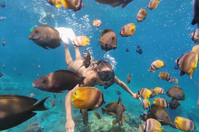 Snorkeling 4 Spot With Manta Bay Or Optional Land Trip - Getting there from Sanur or Nusa Penida