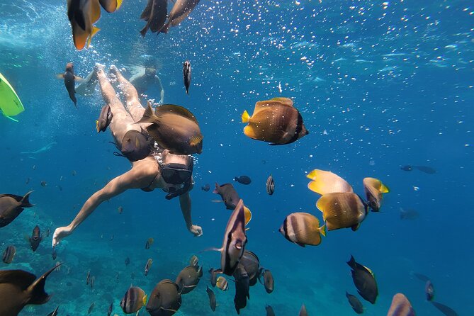 Snorkeling 4 Spot With Manta Bay Or Optional Land Trip - Is $14.14 good value?