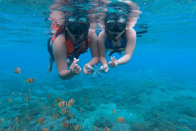Snorkeling 4 Spots, Manta Rays, Tembeling Pool & Kelingking Beach - Leaving Bali before the island wakes up