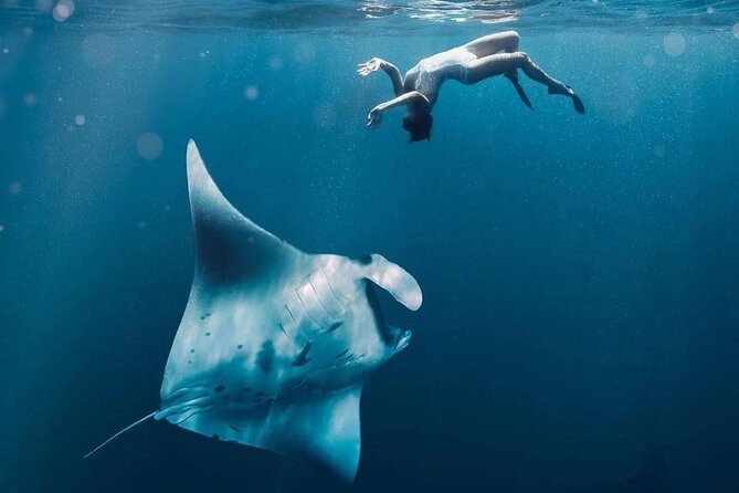 Snorkeling 4 Spots, Manta Rays, Tembeling Pool & Kelingking Beach - Four snorkeling spots around Nusa Penida