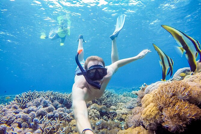 Snorkeling adventure to the manta ray habitat in Nusa Penida - Manta Point is the reason to go