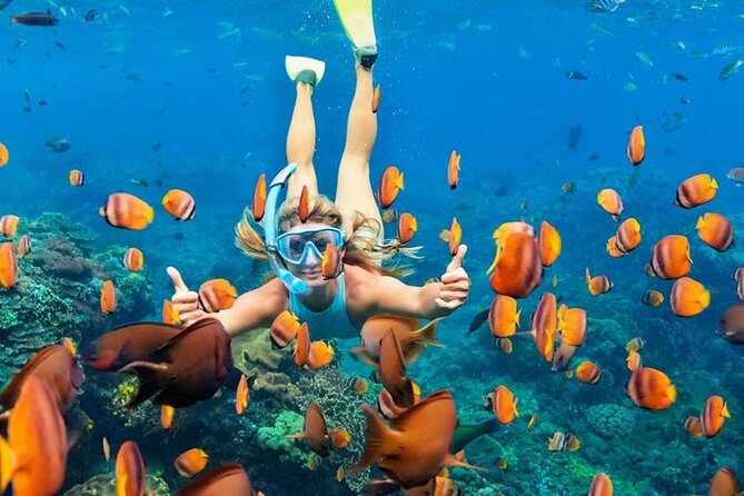Snorkeling adventure to the manta ray habitat in Nusa Penida - Who will enjoy this most