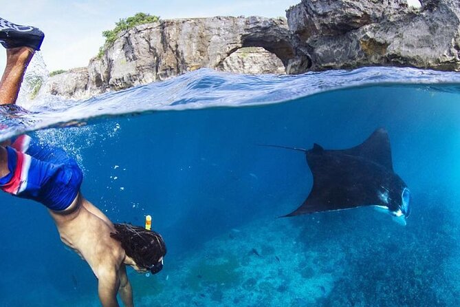 Snorkeling adventure to the manta ray habitat in Nusa Penida - Gamat Bay changes the pace