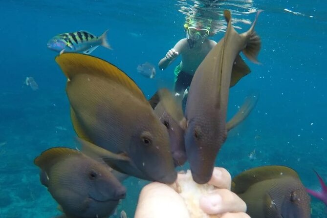 Snorkeling Adventure with East Nusa Penida Tour All Inclusive - What the roads and group size mean for you