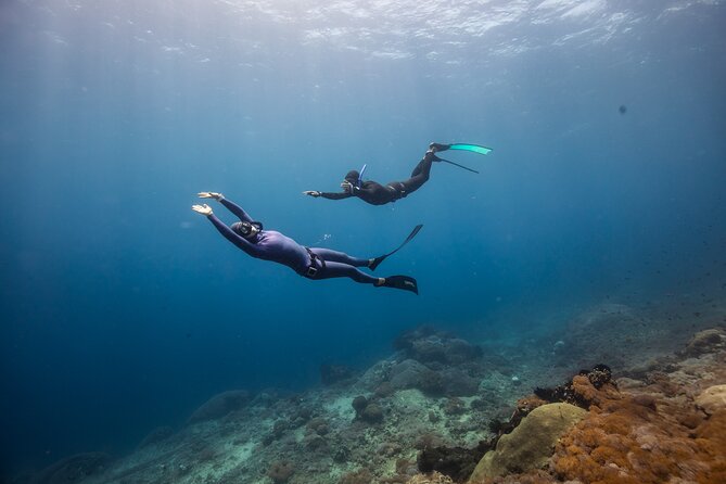 Snorkeling and Freediving Trip around Nusa Penida - Who Will Enjoy This Most?